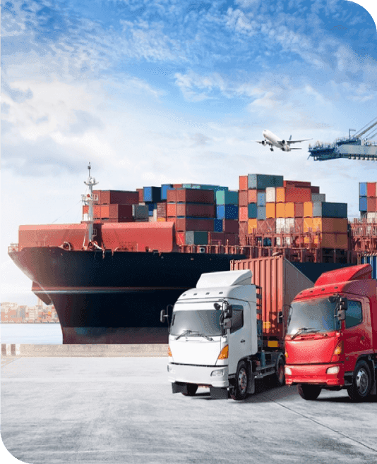 Worldwide shipping services from Rapid Shipping